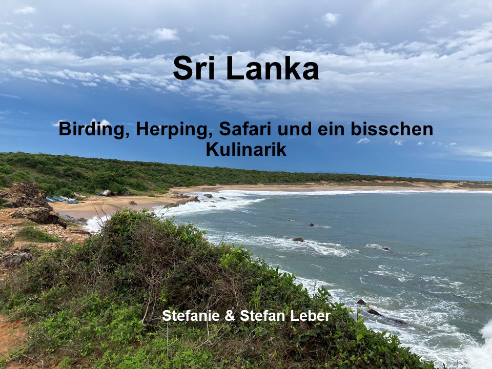 Dieses Bild hat ein leeres Alt-Attribut. Der Dateiname ist Sri-Lanka-2023.jpg